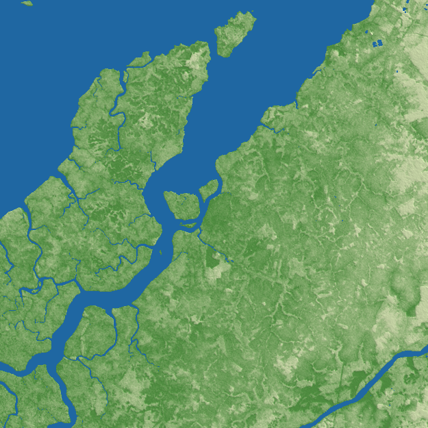 Abaetetuba terrain preview