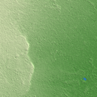 Acarigua terrain preview