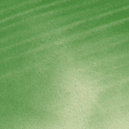 Azare terrain preview