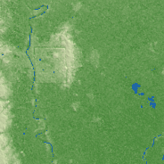 Bago terrain preview