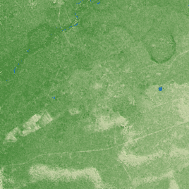 Bahawalpur terrain preview