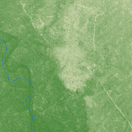 Bareilly terrain preview