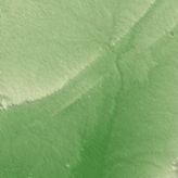 Béchar terrain preview