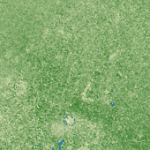 Bharatpur terrain preview