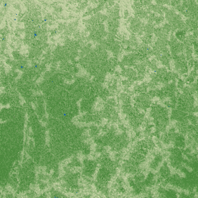 Bhatpara terrain preview