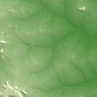 Bida terrain preview