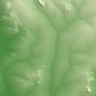 Bungoma terrain preview