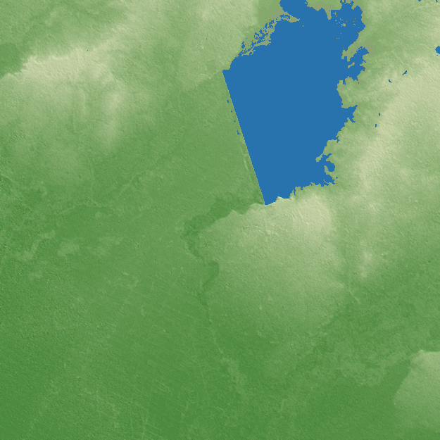 Calabozo terrain preview