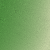 Chaman terrain preview