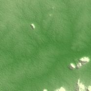 Cuamba terrain preview
