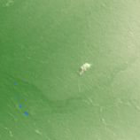 Curicó terrain preview