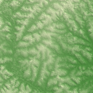 Divo terrain preview