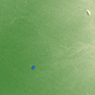 Ferreñafe terrain preview