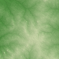 Funtua terrain preview