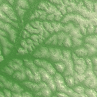 Gagnoa terrain preview
