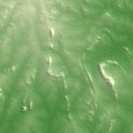 Iseyin terrain preview