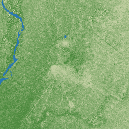 Jhang terrain preview