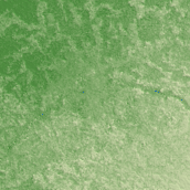 Jorhat terrain preview
