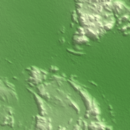 Kaduqli terrain preview