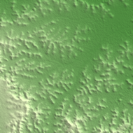 Las Anod terrain preview