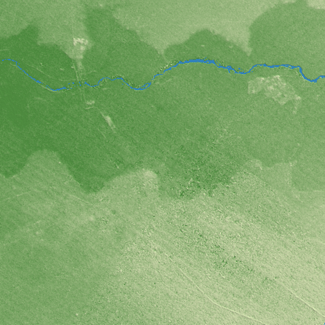 Ludhiana terrain preview