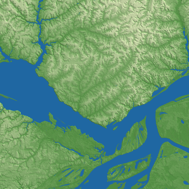 Manaus terrain preview