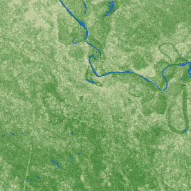 Muzaffarpur terrain preview