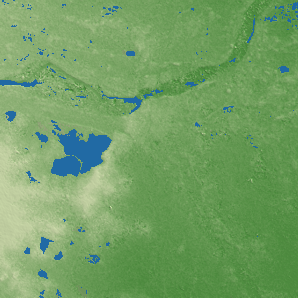 Nellore terrain preview