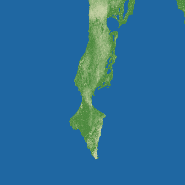 Nouadhibou terrain preview