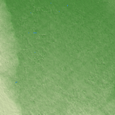 Nuevo Casas Grandes terrain preview