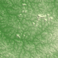 Nzérékoré terrain preview