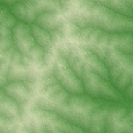 Parakou terrain preview