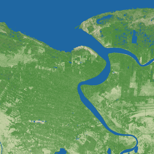 Paramaribo terrain preview