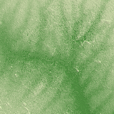 Pergamino terrain preview