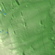 Prokopyevsk terrain preview