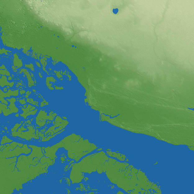 Punta Alta terrain preview