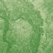 Purnia terrain preview