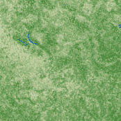 Rangpur terrain preview
