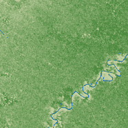 Santa Ana del Yacuma terrain preview