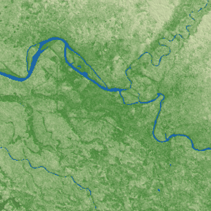 Sapele terrain preview