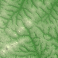 Sunyani terrain preview