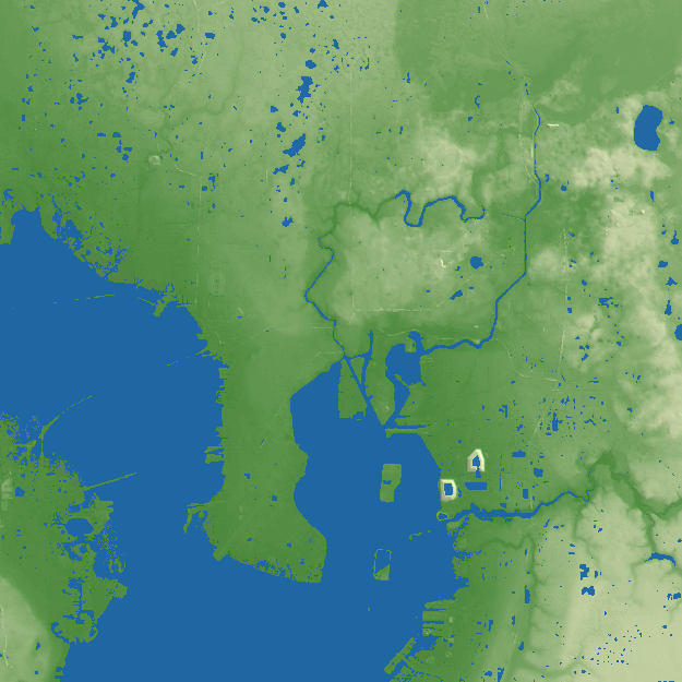 Tampa terrain preview