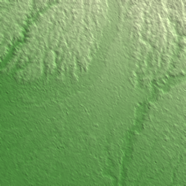 Tapachula terrain preview