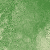 Touggourt terrain preview